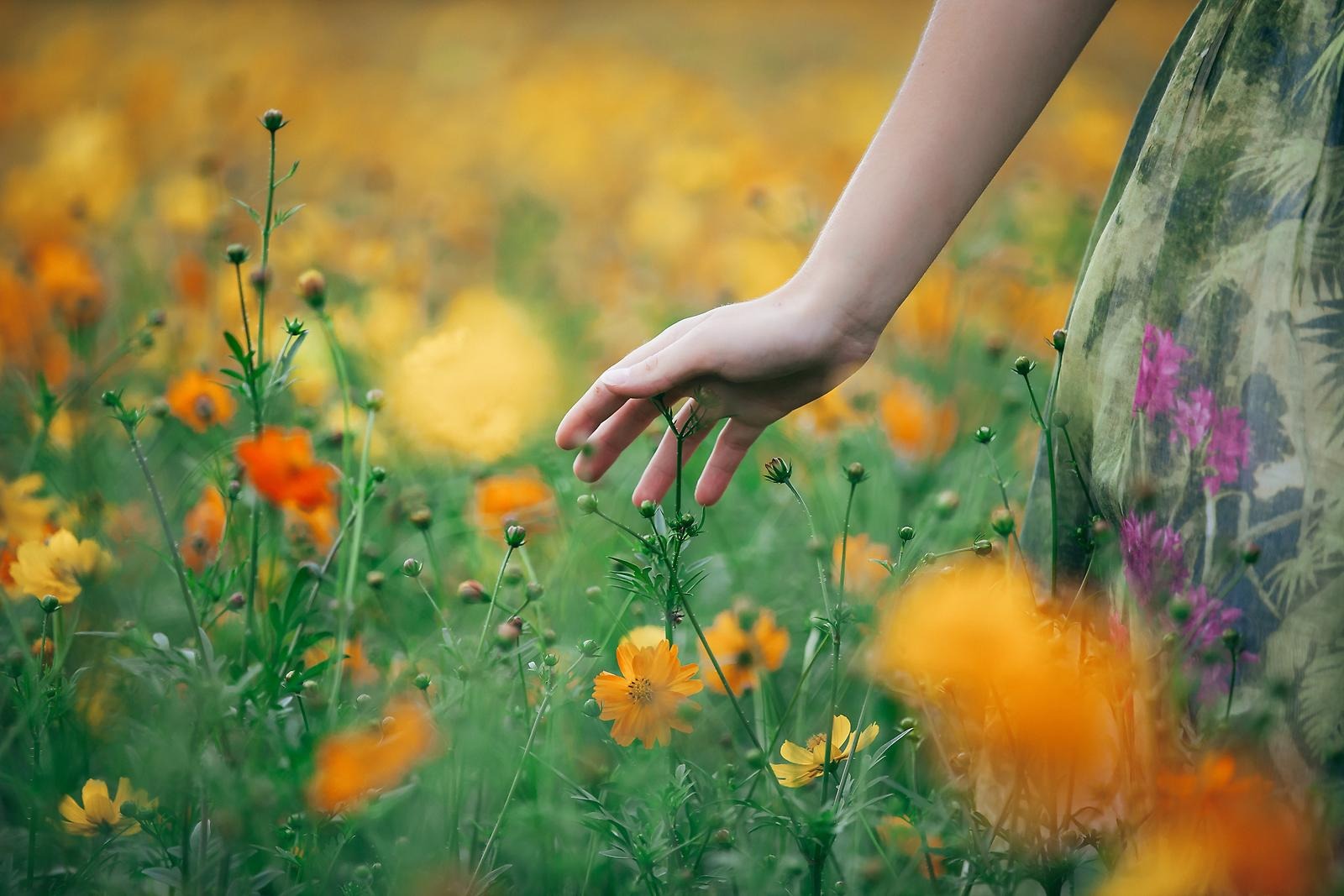 En flicka går över en blomsteräng med orangea blommor. 