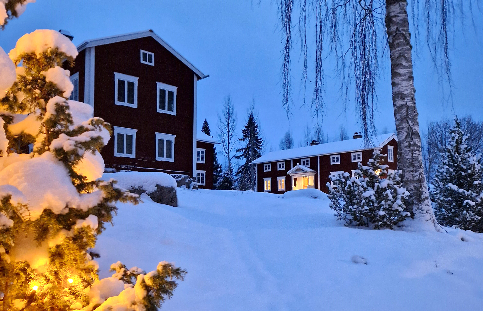 Vinterbild på en snöig Hälsingegård Ol-Anders i Alfta, med upplyst gran i förgrunden