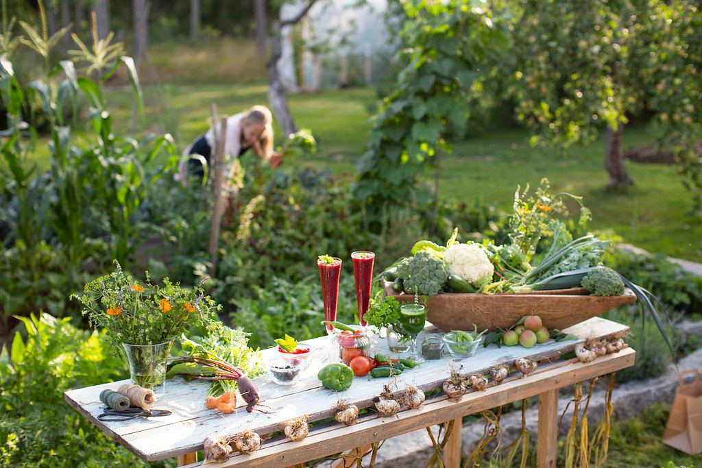 Ett bord mitt i en trädgård uppdukat med grönsaker och smoothies. I bakgrunden går en person och plockar i grönskan.