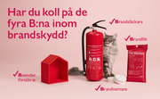 Bild på en brandvarnare, brandsläckare och brandfilt, ett litet hur och en katt, med testen: Har du koll på de fyra B-na inom brandskydd? Brandsläckare, Brandfilt, Brandvarnare och Bostad försäkrad. 